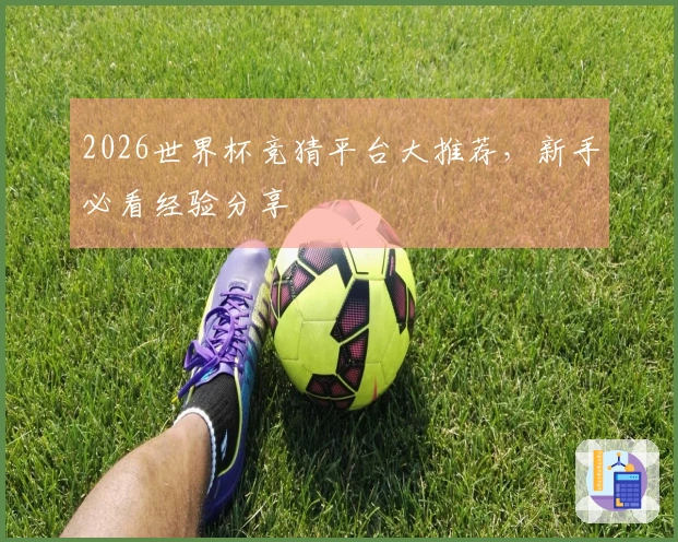 2026世界杯竞猜平台大推荐，新手必看经验分享